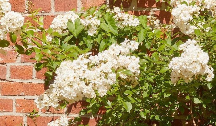 Außenansicht Salon Landrock