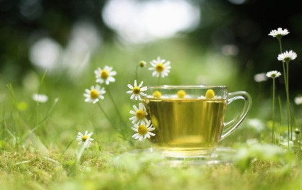 Tee und Quellwasser belebend für Haut und Haar Tee und Quellwasser belebend für Haut und Haar
